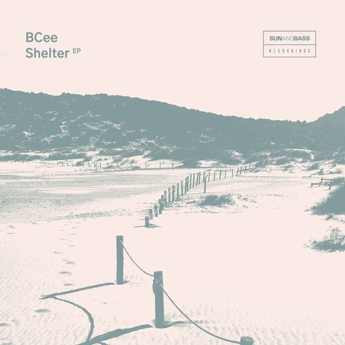  BCee - Shelter (2023) 