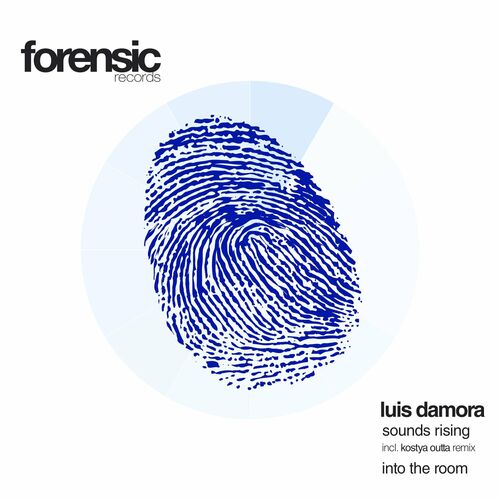  Luis Damora - Sounds Rising / Into the Room (2023) 