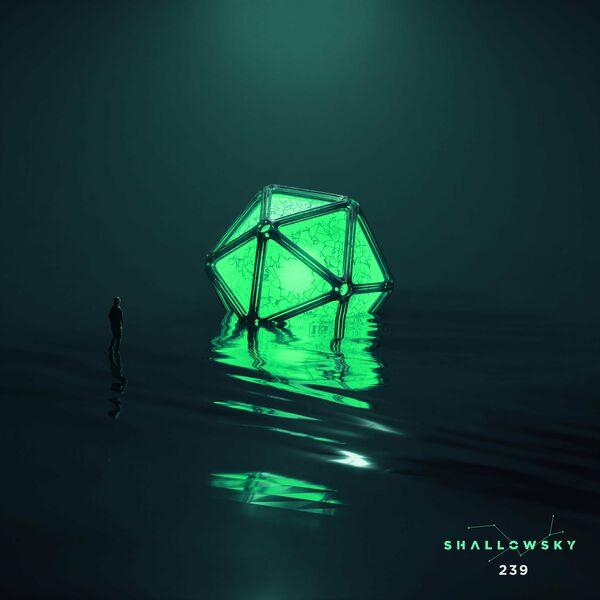 Shallowsky - 239 [Single] (2022)