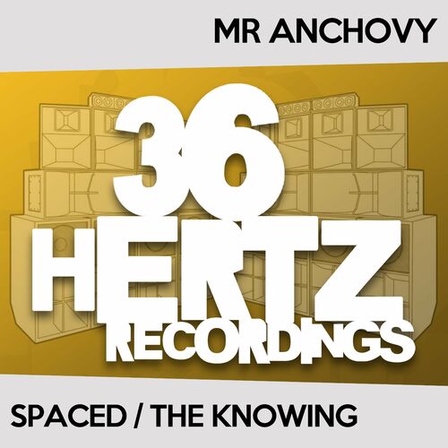  Mr Anchovy - Spaced / The Knowing (2023) 