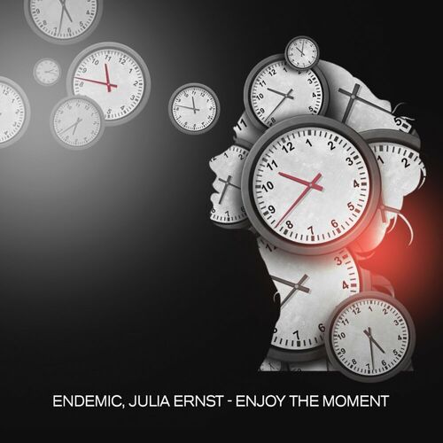  Endemic & Julia Ernst - Enjoy The Moment (2023) 