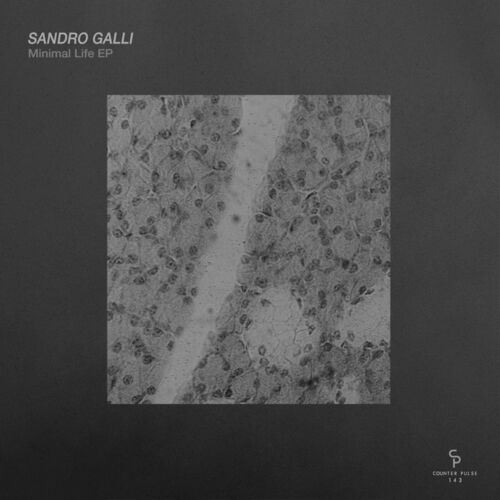  Sandro Galli - Minimal Life (2023) 