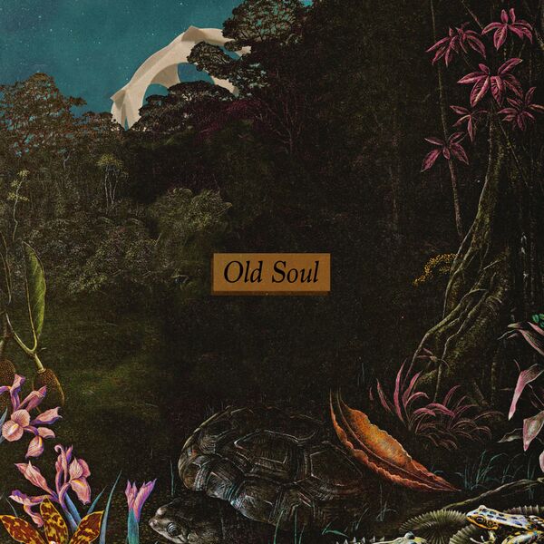 Delta Sleep - Old Soul [single] (2021)
