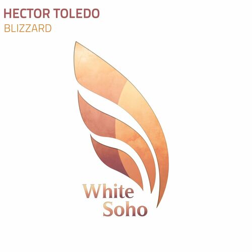 MP3:  Hector Toledo - Blizzard (2024) Онлайн