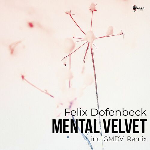  Felix Dofenbeck - Mental Velvet (2023) 