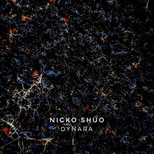 VA - Nicko Shuo - Dynara (2024) (MP3) 500x500-000000-80-0-0