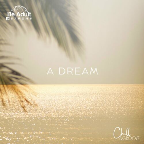  Chill & Groove - A Dream (2023) 