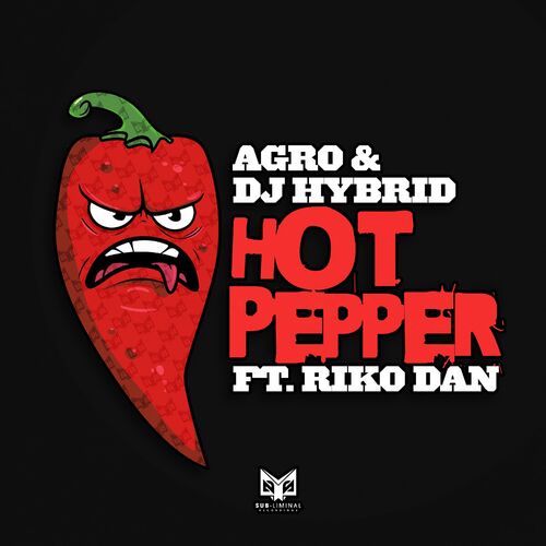  Agro & DJ Hybrid ft. Riko Dan - Hot Pepper (2023) 