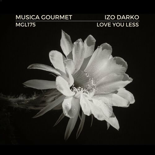  Izo Darko - Love You Less (2023) 