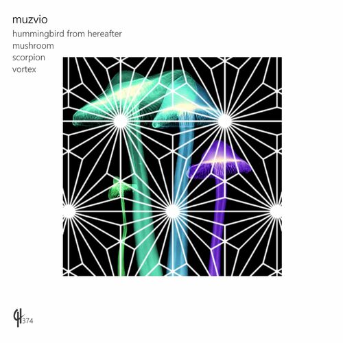  Muzvio - Mushroom (2023) 