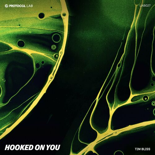  Tim Bliss - Hooked On You (2023) 