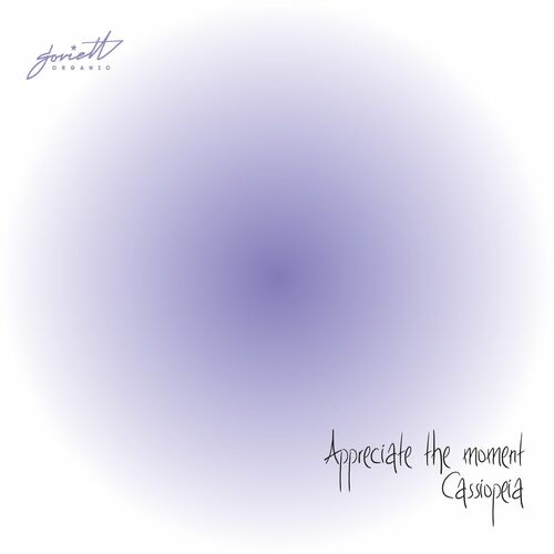 VA -  Cassiopeia - Appreciate the Moment (2024) [MP3] 500x500-000000-80-0-0