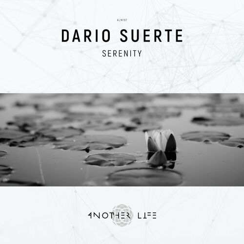  Dario Suerte - Serenity (2023) 