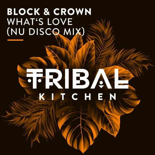  Block & Crown - What's Love (Nu Disco Mix) (2023) 