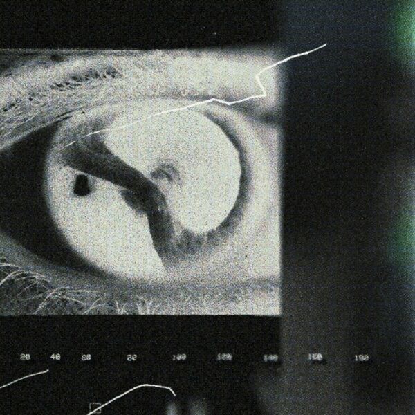 silverlake murder - Cobra [single] (2024)