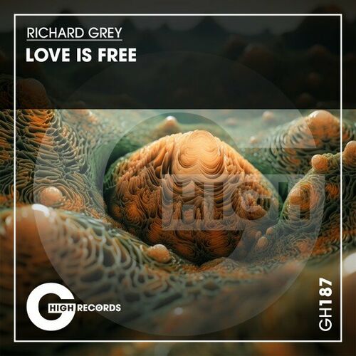 VA - Richard Grey - Love Is Free (2024) (MP3) 500x500-000000-80-0-0