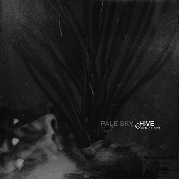Pale Sky - Hive [single] (2021)