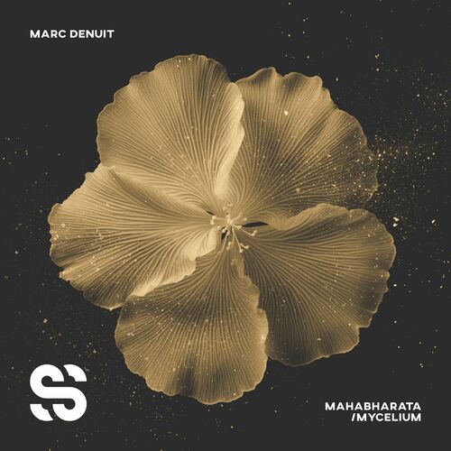  Marc Denuit - Mahabarata/Mycelium (2023) 