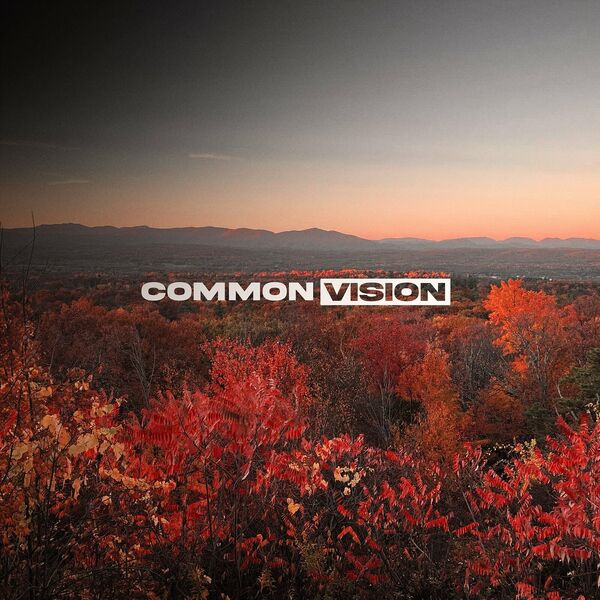 Common Vision - The Dissonance [single] (2023)