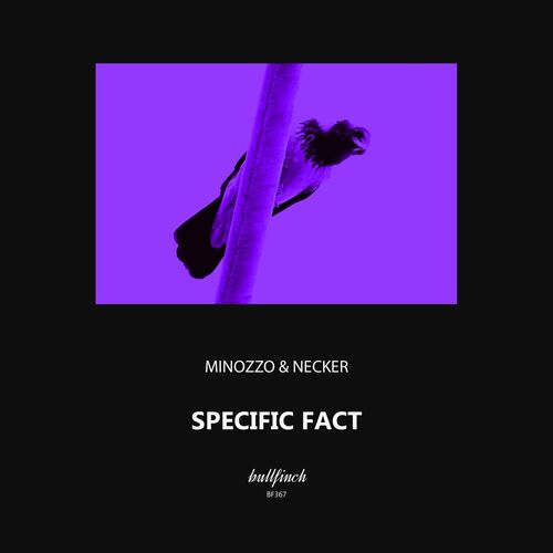  MINOZZO & Necker - Specific Fact (2023) 