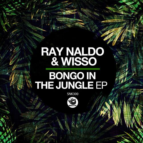  Bongo In The Jungle (2023) 