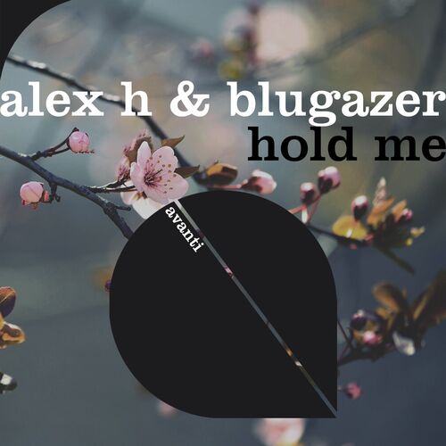  Alex H & Blugazer - Hold Me (2023) 