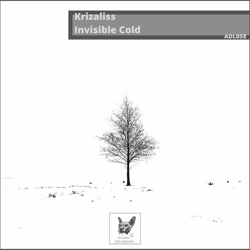 VA - Krizaliss - Invisible Cold (2023) (MP3)