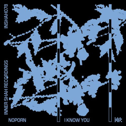  JUP do Bairro & Noporn & Lucas Freire (BR) - I Know You (2024) 