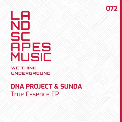 DNA Project & Sunda - True Essence (2024)