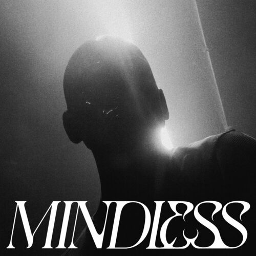 VA -  KLOUD - MINDLESS (2024) [MP3] 500x500-000000-80-0-0