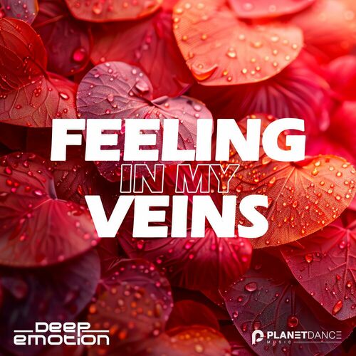 VA - Deep Emotion - Feeling in My Veins (2024) (MP3) 500x500-000000-80-0-0