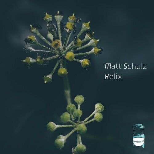  Matt Schulz - Helix (2023) 