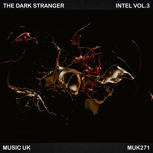  The Dark Stranger - Intel, Vol. 3 (2023) 