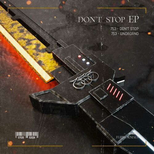 VA - 753 - Don't Stop (2024) (MP3) 500x500-000000-80-0-0