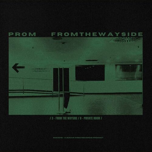  Prom - From The Wayside (2024) 