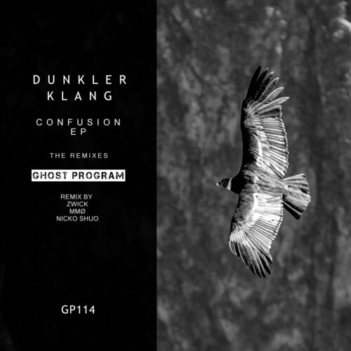  Dunkler Klang - Confusion The Remixes (2023) 
