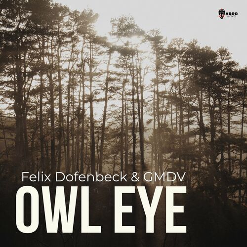  Felix Dofenbeck & GMDV - Owl Eye (2023) 
