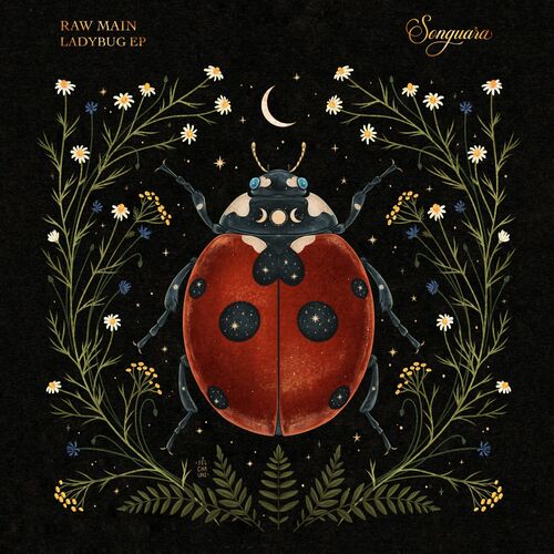 VA - Raw Main - Ladybug (2023) (MP3)