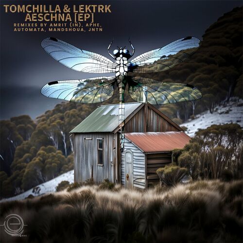  LEKTRK & Tomchilla - Aeschna (2024) 
