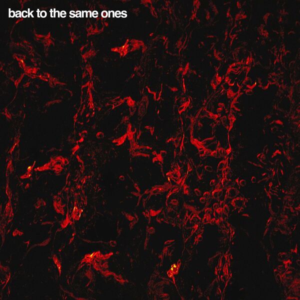 NO SHADE - Back To The Same Ones [single] (2022)