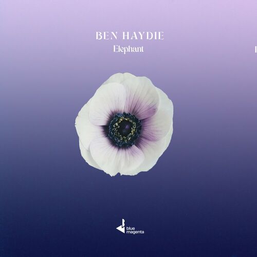  Ben Haydie - Elephant (2024) MP3 500x500-000000-80-0-0