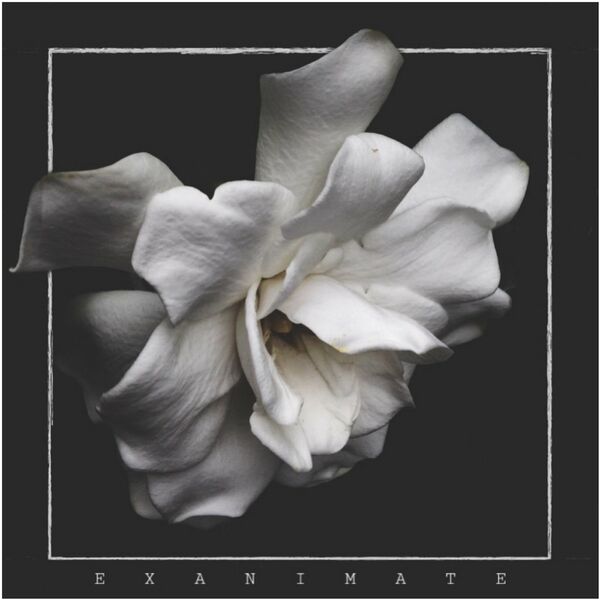 Exanimate - Bloom [single] (2022)