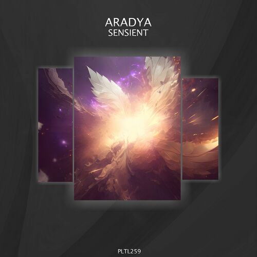  Aradya - Sensient (2023) 