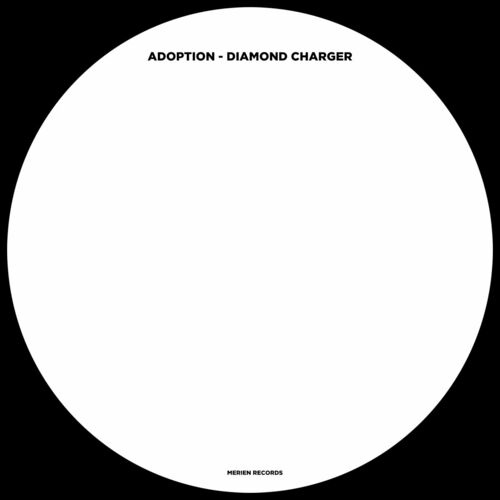 VA - Adoption - Diamond Charger (2024) (MP3)