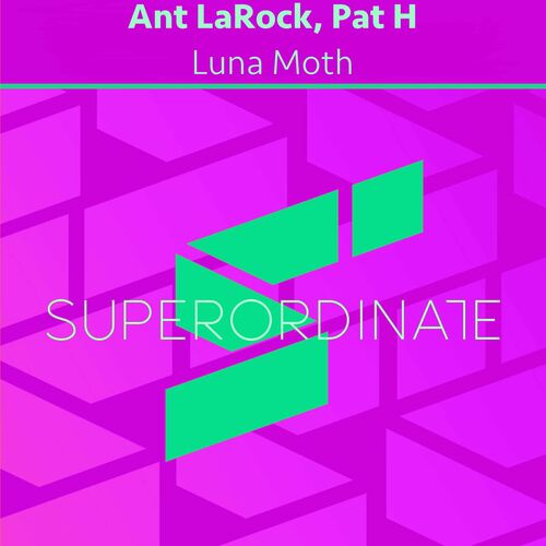 VA -  Pat H - Luna Moth (2024) [MP3] 500x500-000000-80-0-0