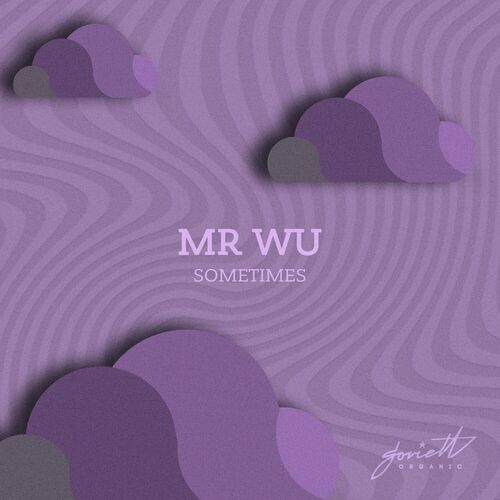  Mr Wu - Sometimes (2023) 