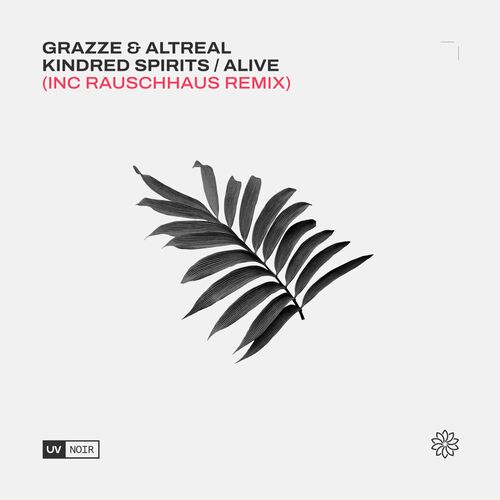  GRAZZE & AltReal - Kindred Spirits (2023) 