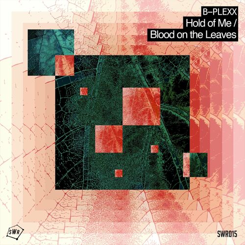  B-Plexx - Hold Of Me / Blood On The Leaves (2023) 