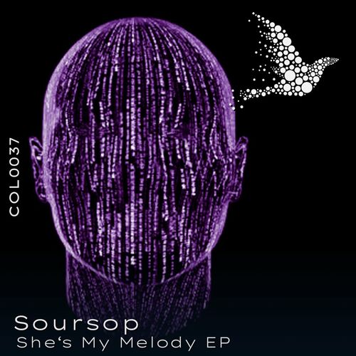  Soursop - She's My Melody (2023) 