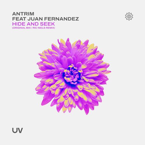  Antrim ft Juan Fernandez - Hide and Seek (2023) 